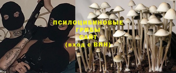 таблы Карпинск